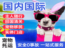 河东航空物流国际宠物托运 【国